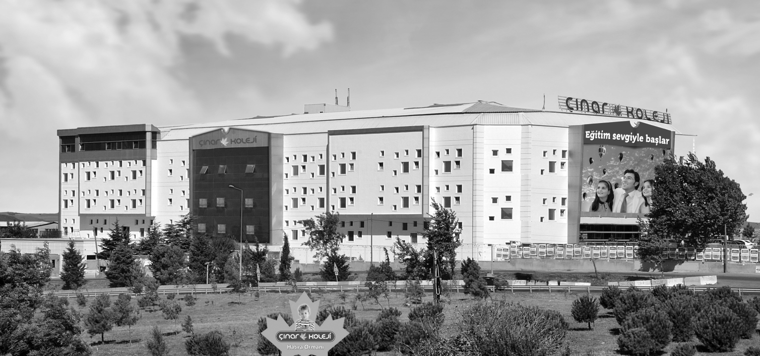 Çınarlı Olmak
