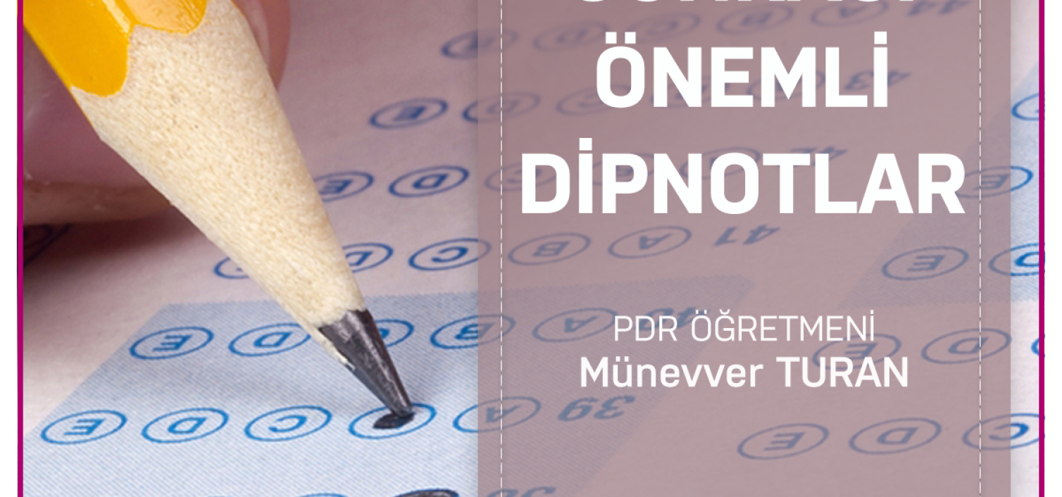 TEOG Sonrası Önemli Dipnotlar